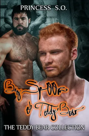 Cover of Big Spoon & Teddy Bear