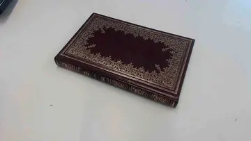 Cover of Lord of the Flies