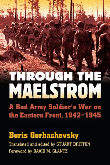 Cover of Through the Maelstrom