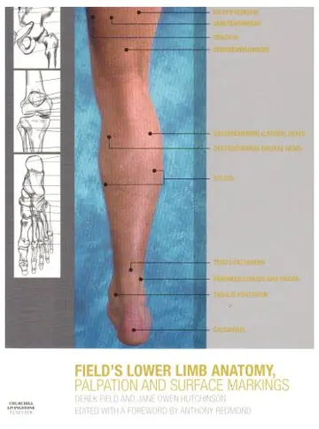 Cover of Lower Limb Anatomy, Palpation and Surface Markings