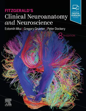 Cover of Clinical Neuroanatomy and Neuroscience
