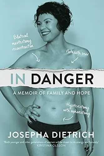 Cover of In Danger