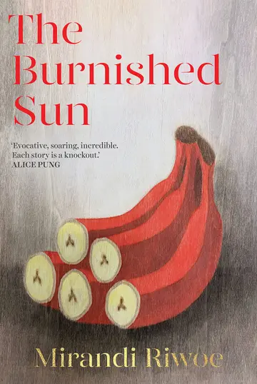 Cover of The Burnished Sun