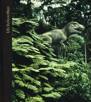 Cover of Life Before Man
