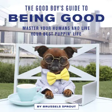 Cover of The Good Boy's Guide to Being Good