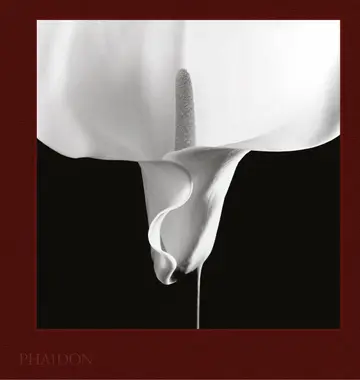 Cover of Mapplethorpe Flora