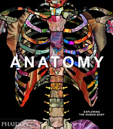 Cover of Anatomy