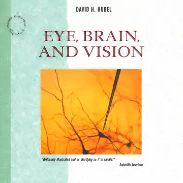 Cover of Eye, Brain and Vision