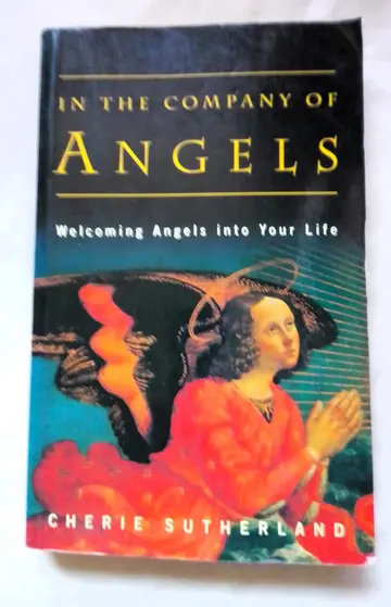 Cover of In the Company of Angels