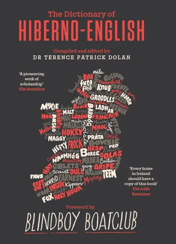 Cover of A Dictionary of Hiberno English