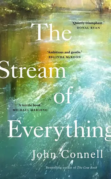 Cover of The Stream of Everything