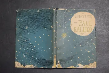 Cover of Snowflake