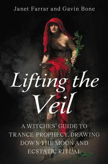 Cover of Lifting the Veil
