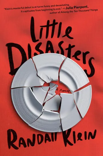 Cover of Little Disasters