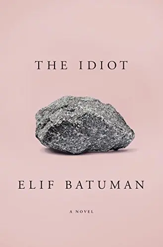 Cover of Idiot the Mrexp