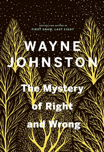 Cover of The Mystery of Right and Wrong