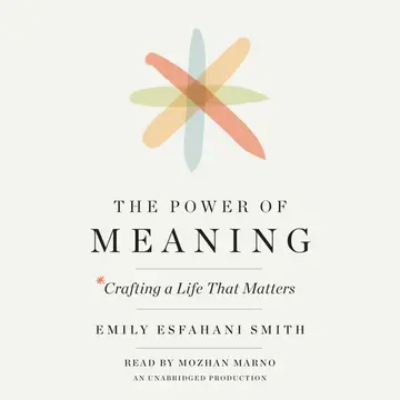 Cover of The Power of Meaning