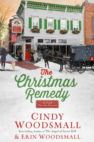 Cover of The Christmas Remedy