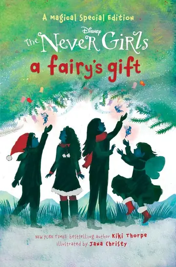 Cover of A Fairy's Gift