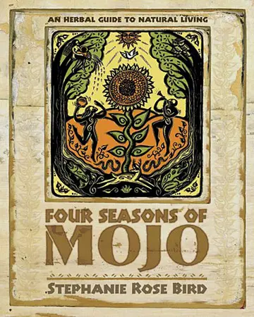 Cover of Four Seasons of Mojo