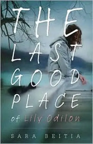 Cover of The Last Good Place of Lily Odilon