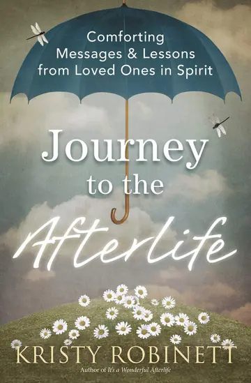 Cover of Journey to the Afterlife