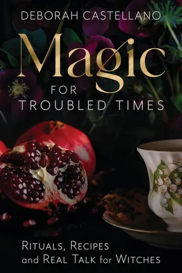 Cover of Magic for Troubled Times