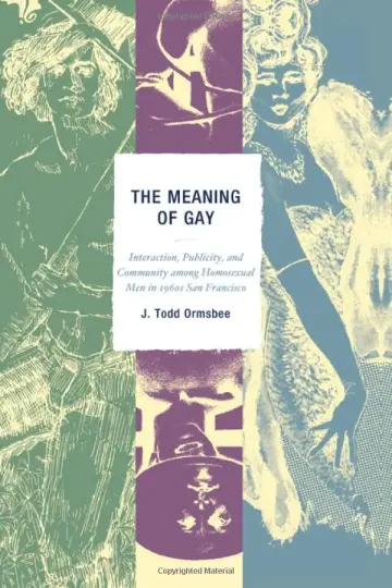 Cover of The Meaning of Gay
