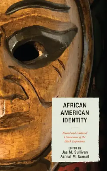 Cover of African American Identity