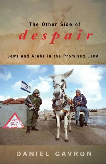 Cover of The Other Side of Despair