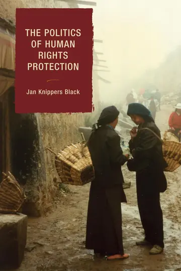 Cover of The Politics of Human Rights Protection