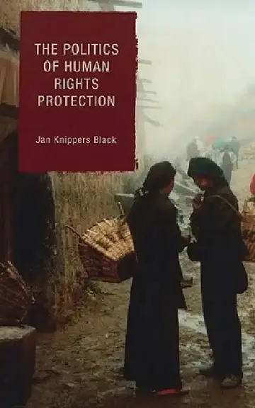 Cover of The Politics of Human Rights Protection