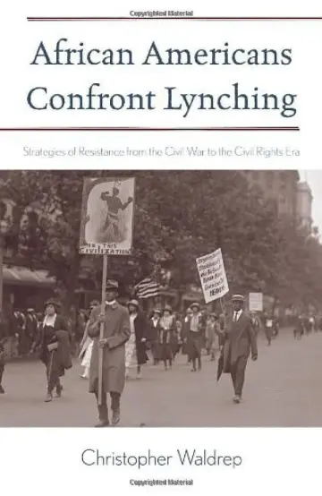 Cover of African Americans Confront Lynching