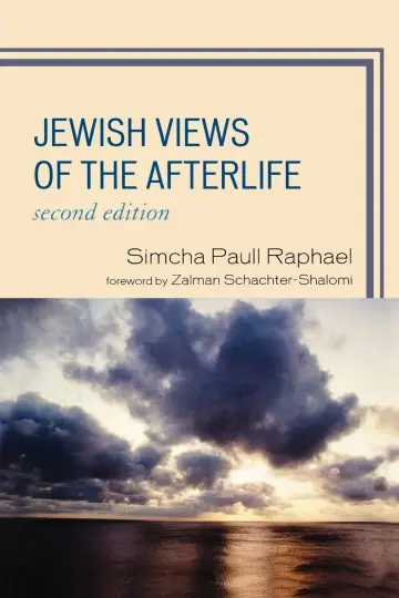 Cover of Jewish Views of the Afterlife