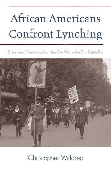 Cover of African Americans Confront Lynching
