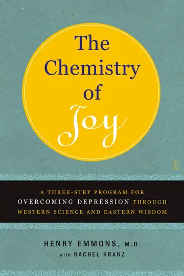 Cover of The Chemistry of Joy