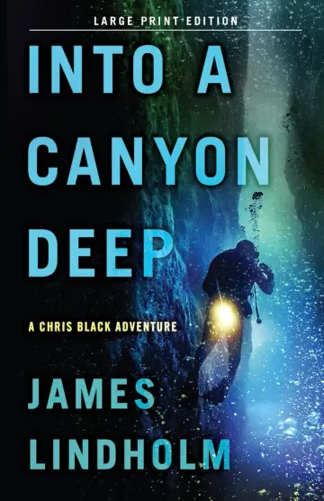 Cover of Into a Canyon Deep