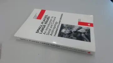 Cover of Small Places, Large Issues