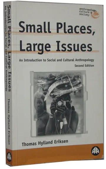 Cover of Small Places, Large Issues