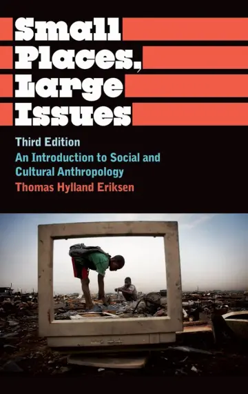 Cover of Small Places, Large Issues