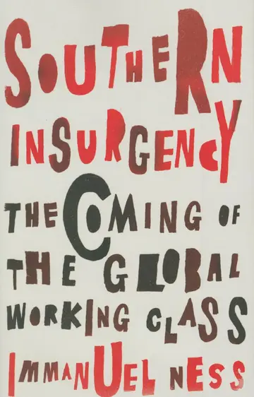 Cover of Southern Insurgency