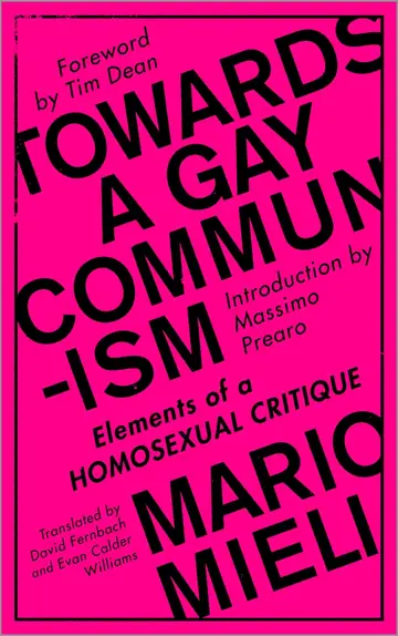Cover of Towards a Gay Communism
