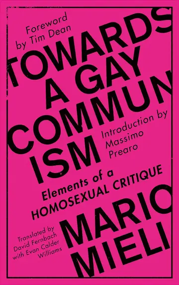 Cover of Towards a Gay Communism