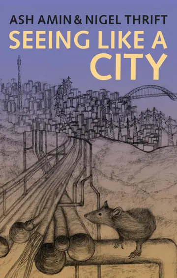 Cover of Seeing Like a City