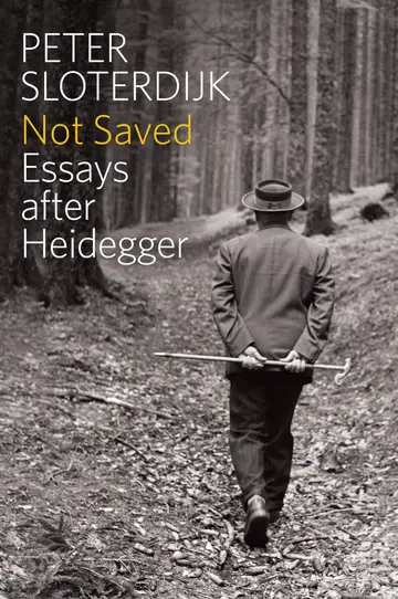Cover of Not Saved