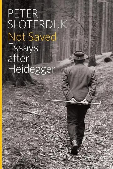 Cover of Not Saved