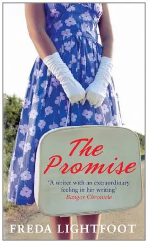 Cover of The Promise