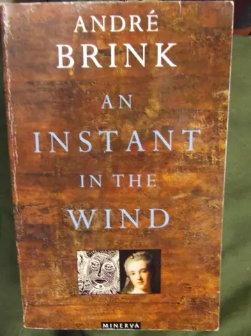 Cover of Instant in the Wind