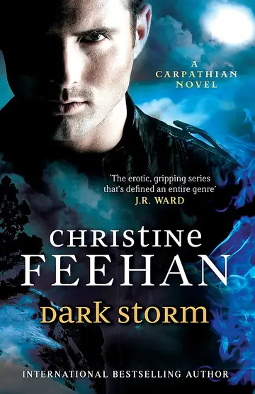 Cover of Dark Storm