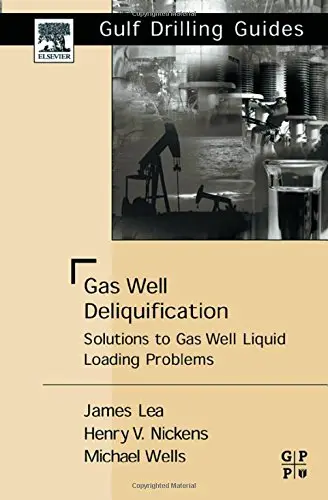 Cover of Gas Well Deliquification